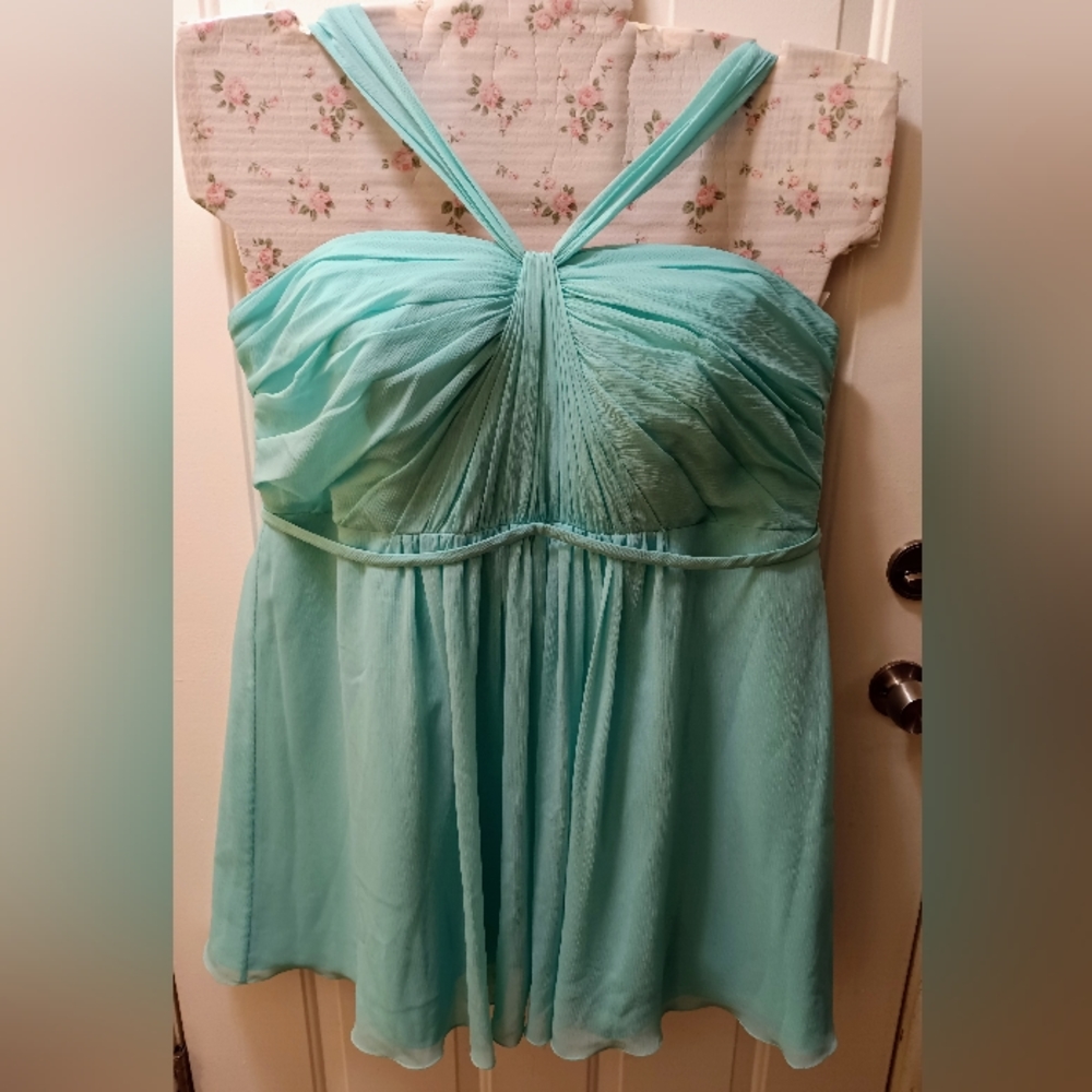 David's Bridal women dresses size 24 bridesmaid dress